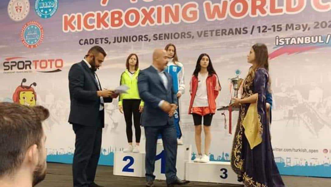 İstanbul'da düzenlenen Dünya KickBox şampiyonasında, Söke Sınav Koleji 9.sınıf öğrencisi Elina Melis YILDIRIM 50 kg. Bayanlar kategorisinde DÜNYA 2. si olmuştur